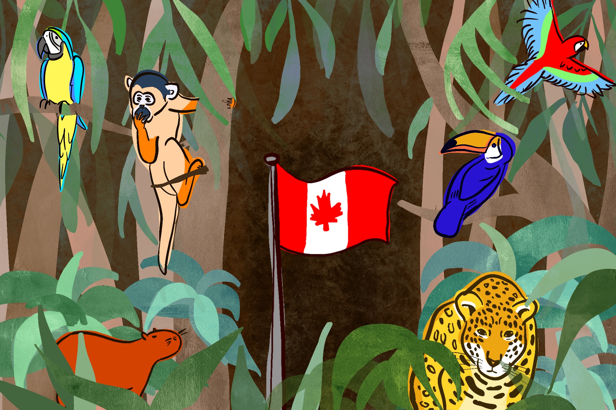 illustration of amazon rain forest with native animals and Canadian flag in middle